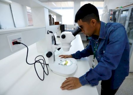 Em MS, 64% das novas vagas de técnico agropecuário são de jovens entre 18 e 24 anos