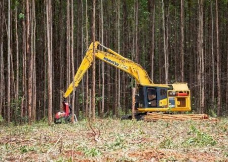 Em alta no Mato Grosso do Sul, carreira florestal é protagonista em 2023