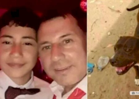 Homem mata pitbull a facadas após cachorro atacar seu filho