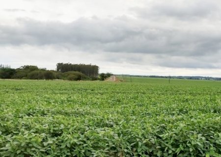 Monitoramento Agrícola registra boas condições de desenvolvimento na safra 2022/2023