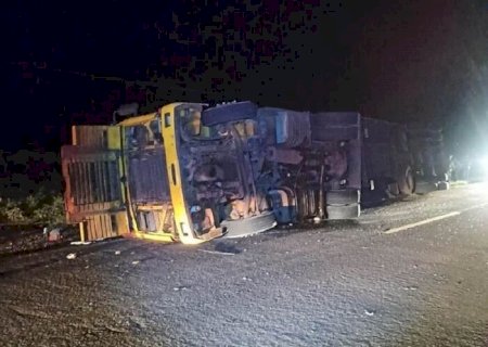 Carreta que transportava touros tomba e vários ficam feridos em Amambai