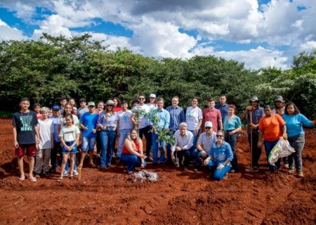 Com apoio de iniciativa privada, prefeitura inicia reflorestamento em Maracaju