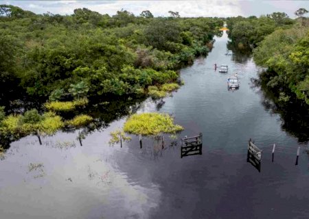 VÍDEO: Após anos de estiagem, águas cobrem estradas e criam cenas de 'tirar o fôlego' no Pantanal