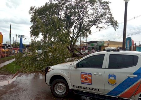 Temporal teve ventos de 44km/h, derrubou árvores e deixou pontos de alagamento em Dourados