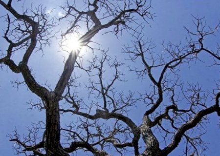 Temperaturas caem e domingo de Páscoa deve ter frio em regiões de MS