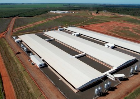 Unidade de Produção de Leitões de Sidrolândia será inaugurada nesta quarta-feira