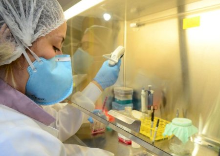 MS tem três casos em investigação por suspeita de febre maculosa