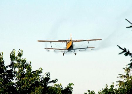 Em Amambai, contaminação por agrotóxicos ocorre por via aérea