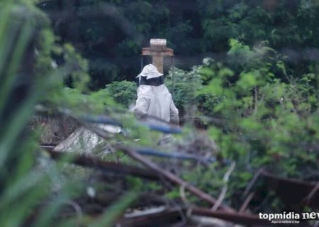 Homens são atacados por abelhas durante pescaria em Corumbá
