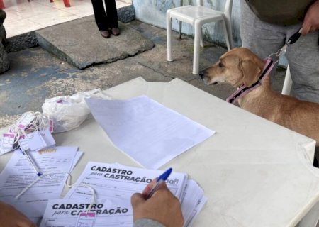 Divulgada lista de contemplados  para castração de cães e gatos em Dourados