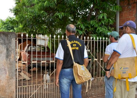 MS registra 8 mortes e 338 novos casos de dengue na última semana