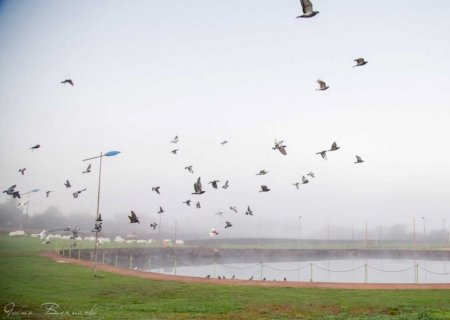 Frio e calor, semana vai de 39&ordm;C a 9&ordm;C; confira a previsão