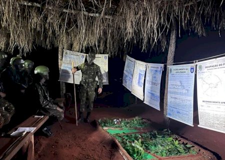 Militar picado por abelhas é entubado e fica em estado grave em Nioaque