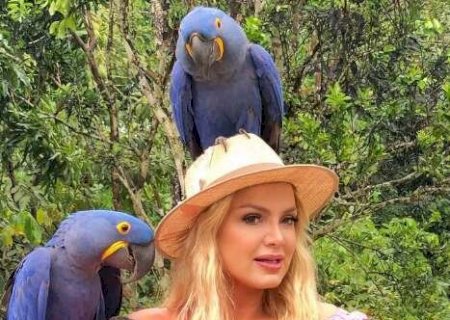 Ap&oacute;s pol&ecirc;mica com Eliana e araras, MP n&atilde;o quer animais como &ldquo;chamariz&rdquo; em Bonito