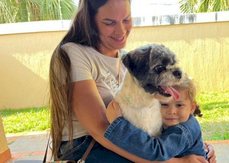 Programa de Castração de Cães e Gatos reabre inscrição na 2ª em Dourados