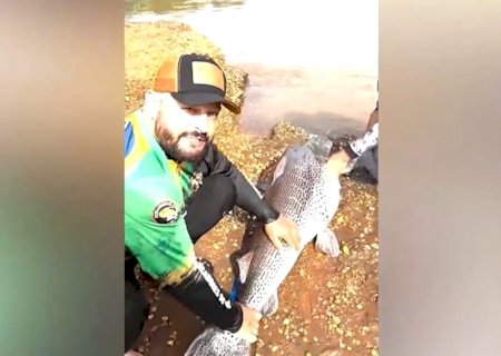 “Maior do ano”, pintado de 1,78 m é capturado e solto no Rio Dourados