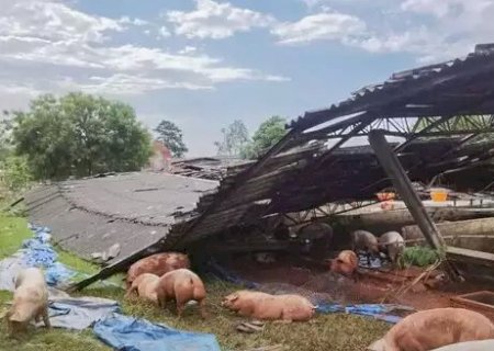 Temporal provoca estragos em São Gabriel e destrói barracão de suínos