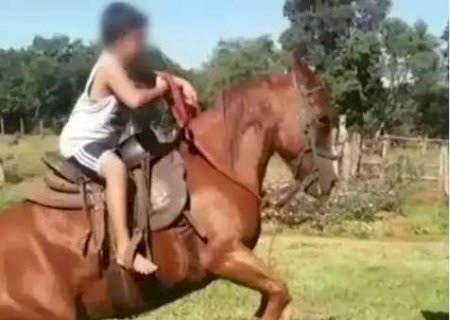 Fam&iacute;lia de garoto de 10 anos nega que morte foi por picada de escorpi&atilde;o