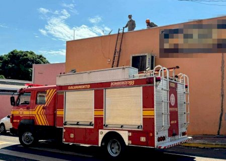 Cabo da Polícia Militar salva vida de jovem ao levar descarga elétrica em Vicentina