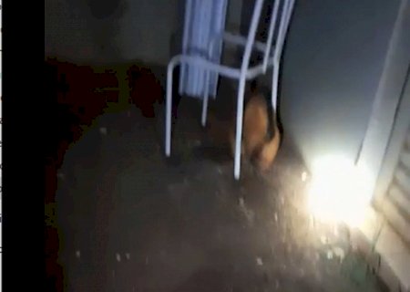 Visita Inesperada na Rodoviária de Itaporã Surpreende Moradores (Vídeo)