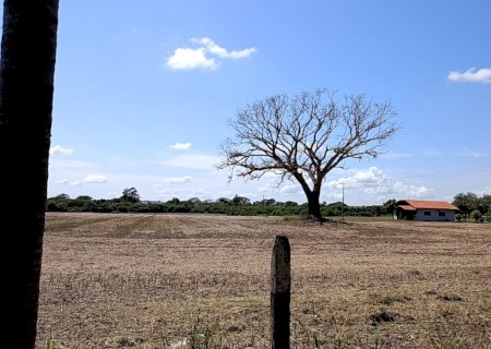 Com onda de calor, MS ‘ferve’ e tem cidade mais quente do Brasil