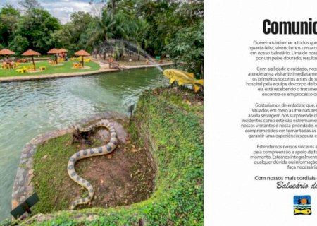 Balneário revela o que fará com peixe que quase arrancou calcanhar de turista em Bonito