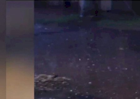 Ponta Porã registrou chuva forte e queda de granizo nesta quinta-feira (vídeo)