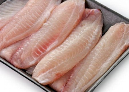 Sindicato Rural está curso de processamento da carne de peixe