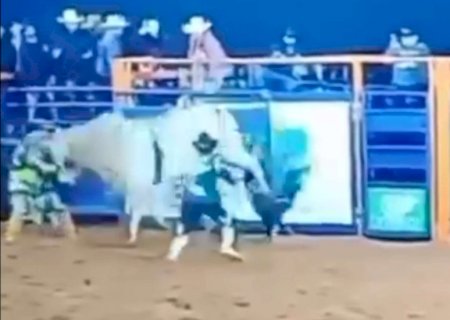 VÍDEO: Peão de SP morre ao ser pisoteado por touro durante rodeio em Fátima do Sul