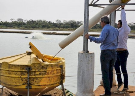 Itaporã: Após encontro na SIAVS, grupo Mar e Terra busca apoio do Governo para expandir abates em frigorífico de peixes