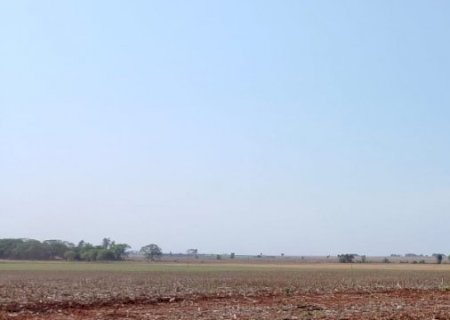 Primeira estimativa da safra de grãos aponta recorde e crescimento de 8,3%