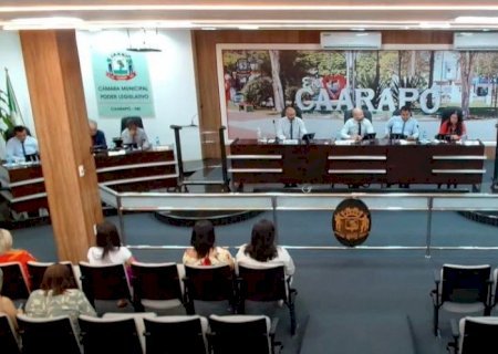 Vereadores de Caarapó aprovam projeto que proíbe fogos com efeito sonoro