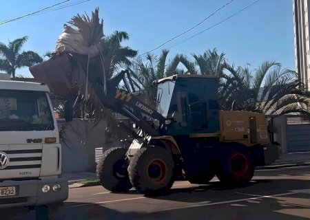 Equipes de limpeza já recolheram mais de 15 toneladas de lixo em Sidrolândia