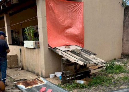 Cachorro com leishmaniose é sacrificado após ser tratado com dipirona