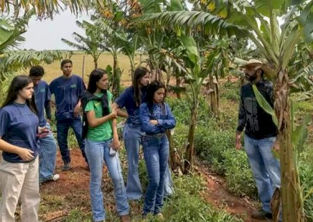 Com sal&aacute;rios de at&eacute; R$ 7 mil, Agraer prorroga inscri&ccedil;&otilde;es de processo seletivo