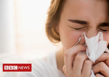 Descoberta de parte desconhecida do sistema imunológico abre portas para novos antibióticos