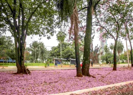 Outono em MS deve registrar menos chuvas e pode ter ondas de calor