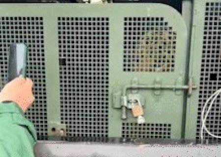 Rugindo, on&ccedil;a que matou caseiro &eacute; trazida por comboio e chega ao CRAS