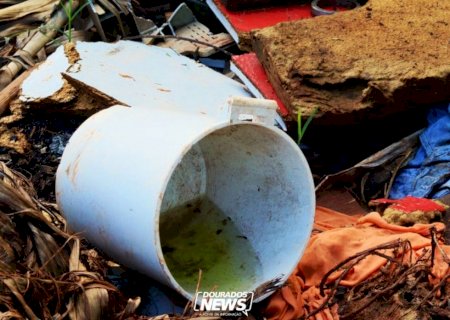 Com oito mortes em investigação, dengue tem mais de 3,6 mil casos confirmados em MS