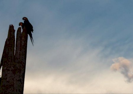 Sol e chuva: calor predomina em Mato Grosso do Sul nesta terça-feira
