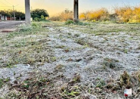 Rio Brilhante registra mínima de 1°C e geada surpreende moradores nesta sexta-feira