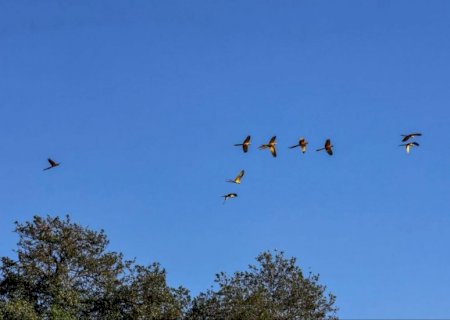 Calorão e tempo seco sem trégua em Mato Grosso do Sul nesta quinta-feira