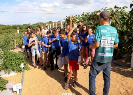 Foco no conhecimento e protagonismo feminino marcam a quarta-feira da 59ª Expoagro