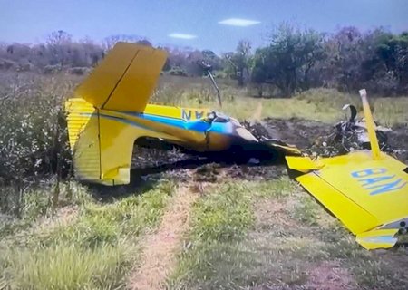 Queixadas na pista podem ter provocado acidente aéreo no Pantanal