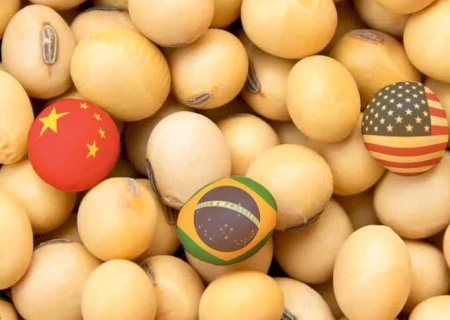 China não comprar soja americana é ato economicamente hostil, diz Trump