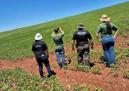 Produtor é autuado por plantio irregular de soja