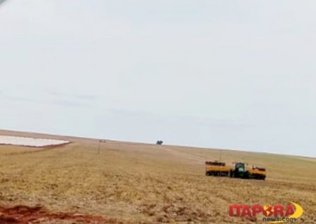 Itaporã inicia plantio de soja com previsão de 92 mil hectares para a safra 2025/2026