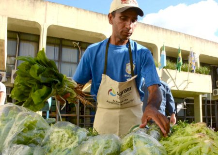 Pela 1ª vez, MS supera 28 mil cadastros na Agricultura Familiar