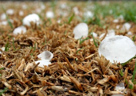 Granizo, tornados e enxurradas afetam 270 mil hectares de soja no Paraná