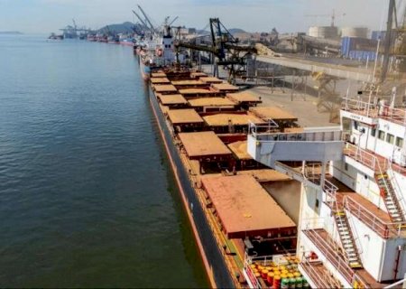 Exporta&ccedil;&otilde;es de milho disparam 214% em outubro e t&ecirc;m o Ir&atilde; como principal destino